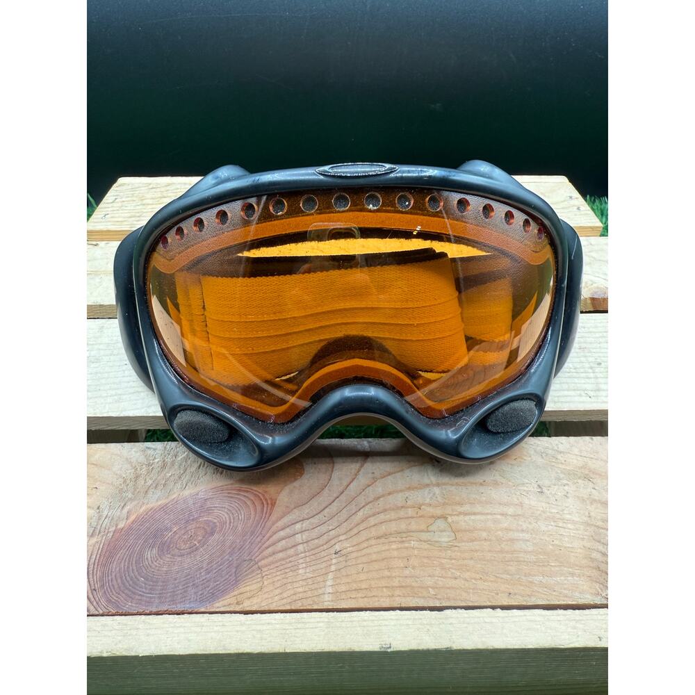 Oakley Polarized Winter Skiing &Snowboarding Goggles w/Protective Bag